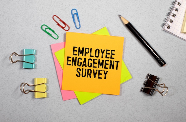 Why Are Employee Surveys Important? 